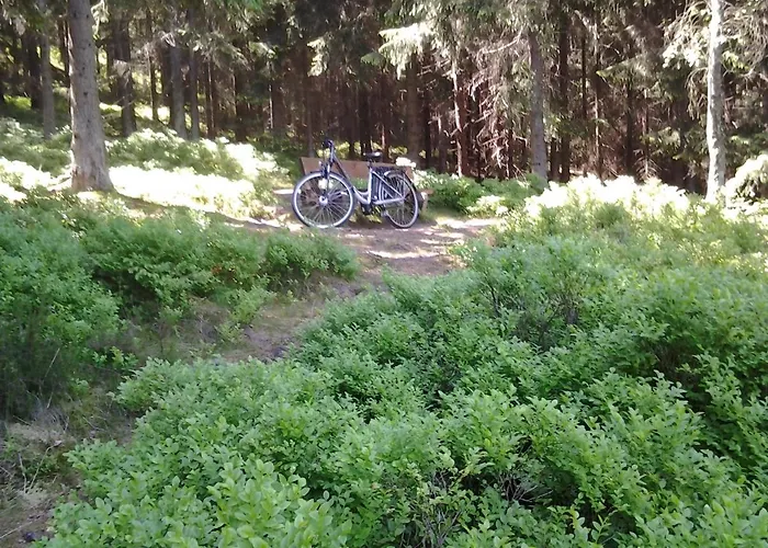 Tanne Apartman Altenau